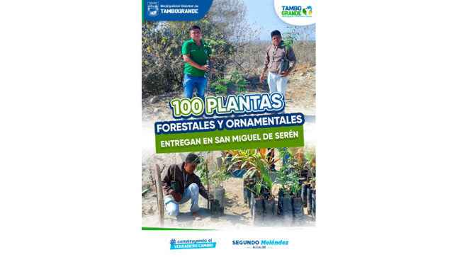 100 plantas forestales y ornamentales entregan en San Miguel de Séren 