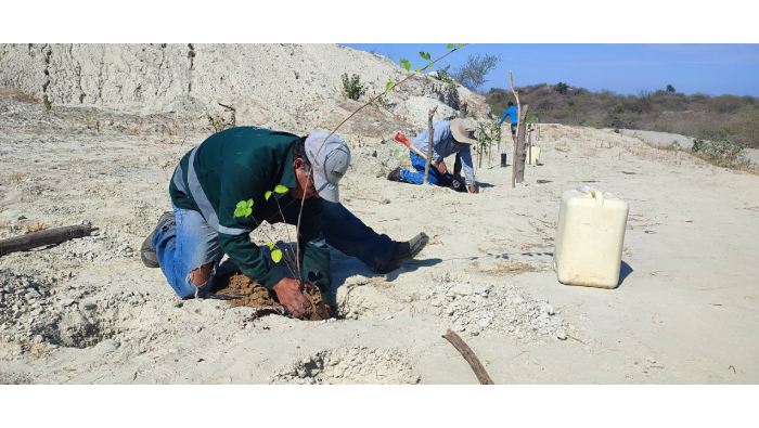 100 plantas forestales y ornamentales entregan en San Miguel de Séren