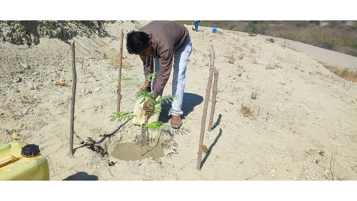 100 plantas forestales y ornamentales entregan en San Miguel de Séren