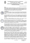Vista preliminar de documento RAF N° 095-2024