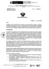 Vista preliminar de documento 104