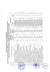 Vista preliminar de documento Proceso