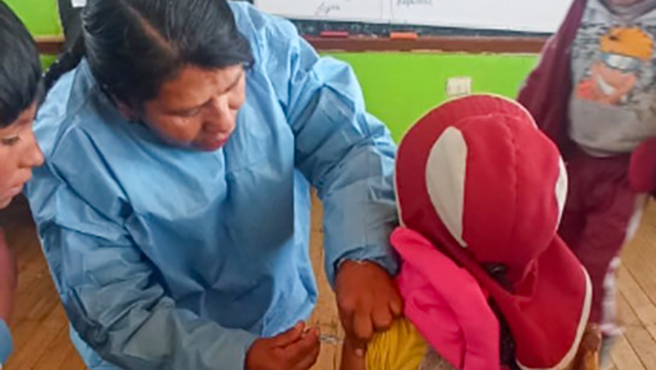 Puno vacunación Heladas