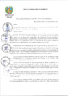Vista preliminar de documento RESOLUCION DE GERENCIA MUNICIPAL N°049-2023-MDSLC
