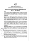 Vista preliminar de documento N°0735-2024-GRA-ORA