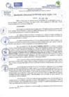 Vista preliminar de documento RD N 0369