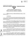 Vista preliminar de documento 028-2024-GRAL