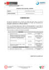 Vista preliminar de documento Comunicado - CAS N° 029-2024