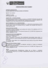 Vista preliminar de documento Proceso CAS N° 142-2011