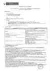 Vista preliminar de documento Proceso CAS N° 167-2016-PIN