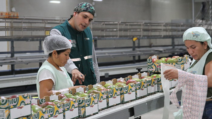 SENASA - Aseguramos la continuidad de los servicios en todo el Perú