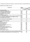 Vista preliminar de documento Anexo N° 06: Cuadro Multianual de Necesidades 2024-49