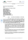 Vista preliminar de documento Sesión Ordinaria N° 07-2024-CR