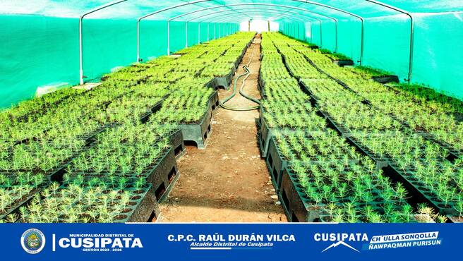 Con el firme propΓ³sito de trabajar en mejorar el ecosistema de nuestras comunidades, la Municipalidad Distrital de Cusipata a travΓ©s de la Sub Gerencia de Medio Ambiente mediante el proyecto.