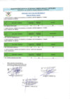 Vista preliminar de documento Resultados Finales