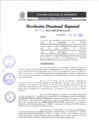 Vista preliminar de documento RDR 228-2024