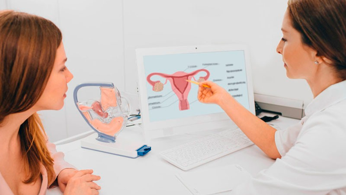 La atención se enfoca en diversas áreas críticas para la salud femenina, incluyendo la prevención del embarazo adolescente, la prevención de infecciones de transmisión sexual, consejería sobre métodos anticonceptivos, y la atención a casos de endometriosis y malformaciones genitales. Además, se abordan problemas menstruales como ciclos irregulares o dolores intensos, y la patología más frecuente que es la vulvovaginitis.