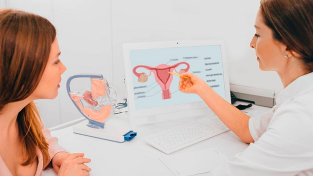 La atención se enfoca en diversas áreas críticas para la salud femenina, incluyendo la prevención del embarazo adolescente, la prevención de infecciones de transmisión sexual, consejería sobre métodos anticonceptivos, y la atención a casos de endometriosis y malformaciones genitales. Además, se abordan problemas menstruales como ciclos irregulares o dolores intensos, y la patología más frecuente que es la vulvovaginitis.