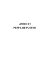 Vista preliminar de documento Anexo 01 Perfil de Puesto