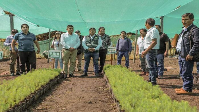Electrocentro Impulsa la Reforestación con la Entrega de 25 Mil Plantones a la Comunidad Campesina de Uchubamba