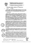 Vista preliminar de documento RGR0272-2024-GRI