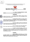 Vista preliminar de documento Resolucion Directoral N° 004055-2024
