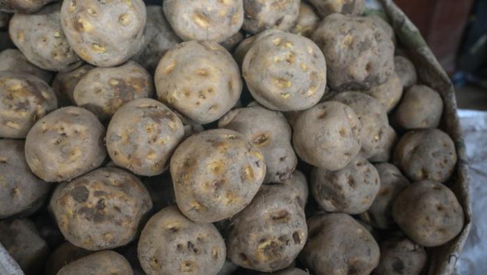 Se reportó el ingreso de más de 9 mil toneladas de productos entre frutas y verduras