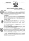 Vista preliminar de documento R.D N° 203-2024-HMA-DG