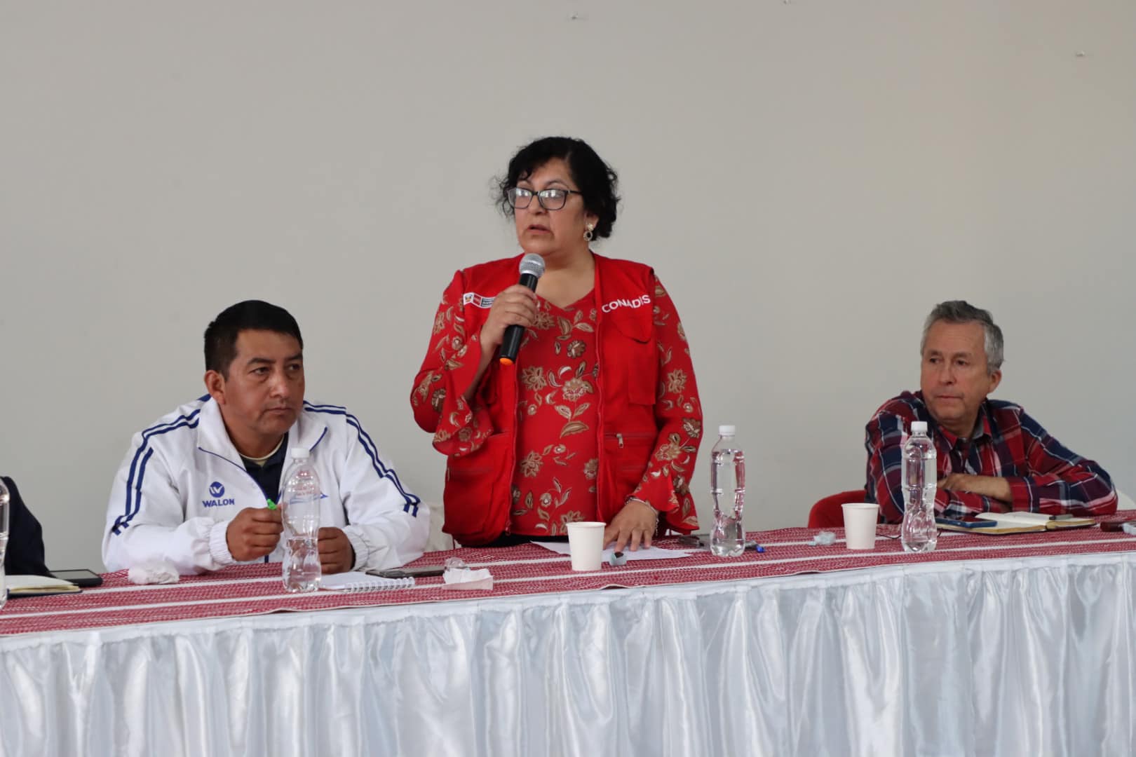 Encuentro Clave en Pro del PER Amazonas al 2036