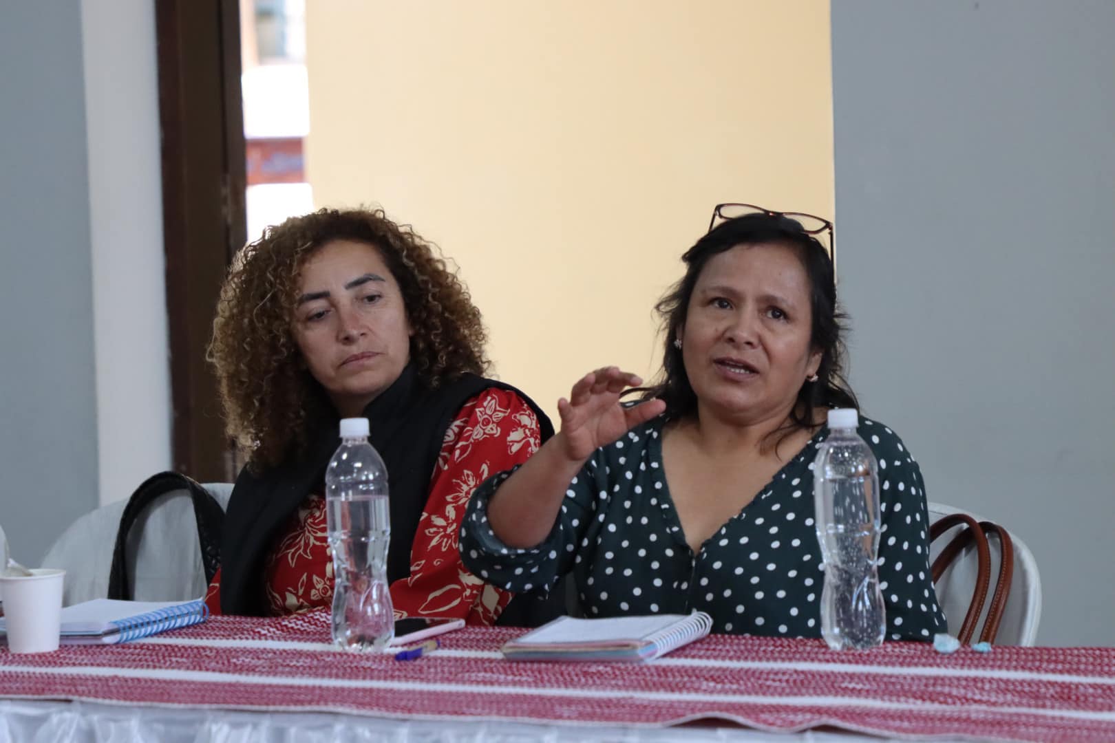 Encuentro Clave en Pro del PER Amazonas al 2036
