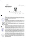 Vista preliminar de documento R.D. 800-2023