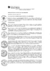 Vista preliminar de documento RA-262-MDJM-2024
