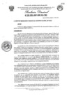 Vista preliminar de documento RESOLUCION DIRECTORAL N°010-2024