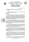 Vista preliminar de documento RESOLUCION DIRECTORAL N°011-2024