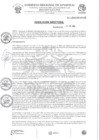 Vista preliminar de documento RD Nº265-2024-HSR-AND-DE