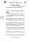 Vista preliminar de documento RESOLUCION DIRECTORAL N°014-2024