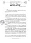 Vista preliminar de documento RESOLUCION DIRECTORAL N°018-2024