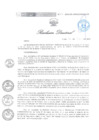 Vista preliminar de documento RD 131 DG 2024