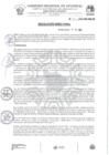 Vista preliminar de documento RD Nº271-2024-HSR-AND-DE