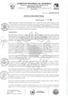 Vista preliminar de documento RD Nº273-2024-HSR-AND-DE