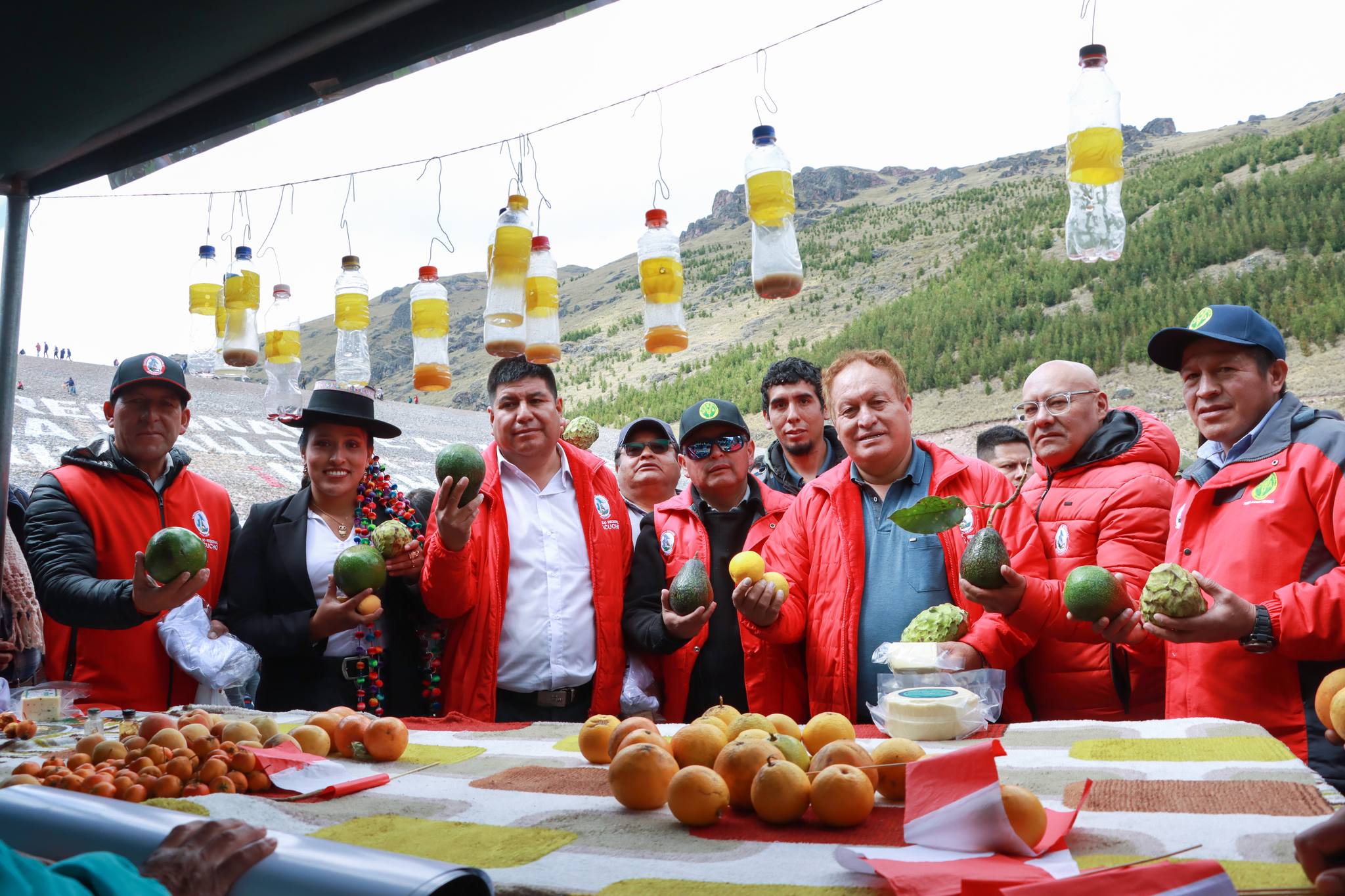 Proyectos productivos de la DRA Ayacucho presentes en Pallcca
