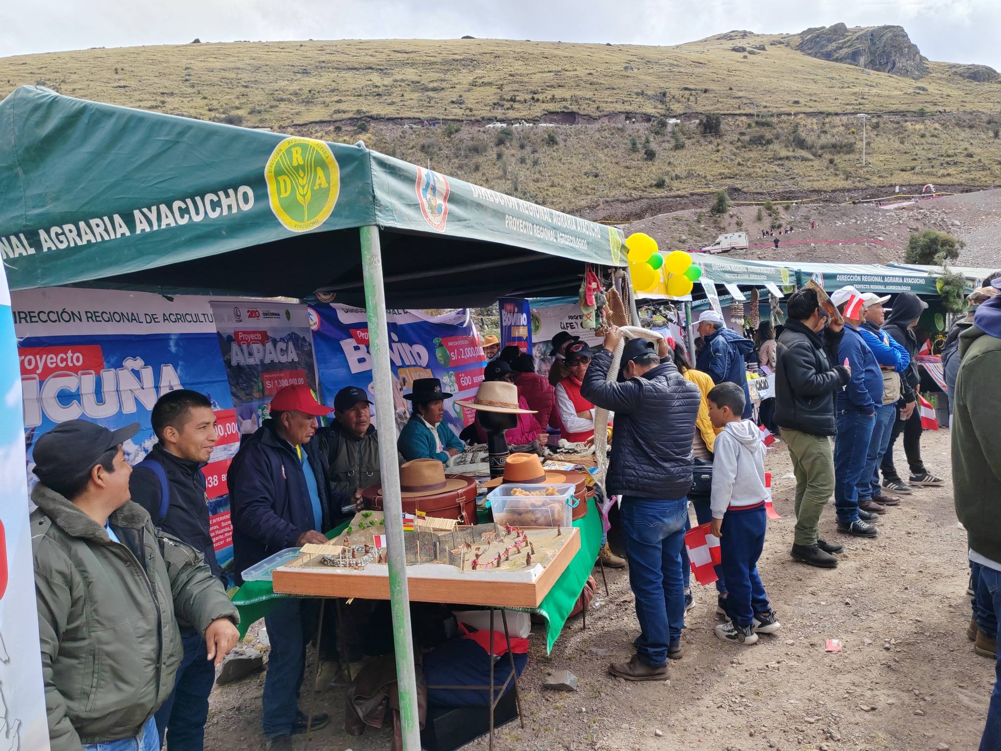 Proyectos productivos de la DRA Ayacucho presentes en Pallcca
