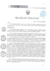 Vista preliminar de documento RD 136 DG 2024
