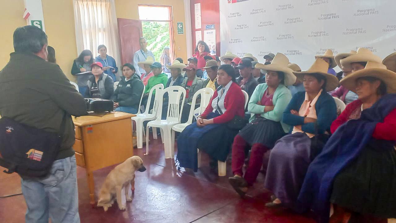 Capacitación Criadores de Cuyes en Cajamarca