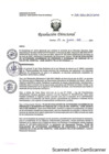Vista preliminar de documento RD N° 128-2024-DE/HJATCH