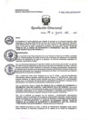 Vista preliminar de documento RD N° 131-2024-DE/HJATCH