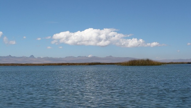 humedal Junín