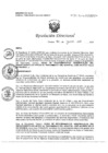 Vista preliminar de documento RD N° 135-2024-DE/HJATCH