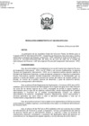 Vista preliminar de documento RA 028_CPMT-N-008-2024-CARLOANDRE ALEJANDRO VIGNOLO PEREZ,[R][R]