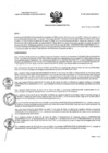 Vista preliminar de documento RA N°  081-2024-OEA-HNCH